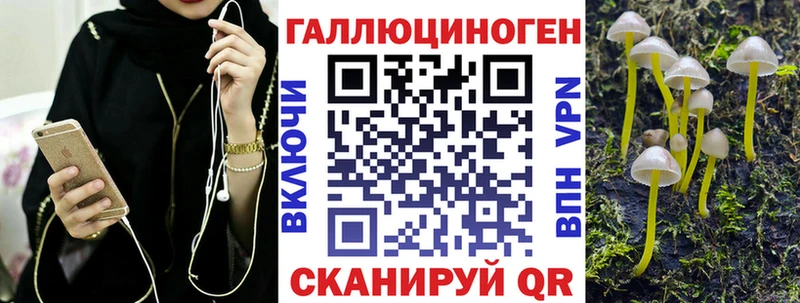 где купить наркоту  Гороховец  Галлюциногенные грибы ЛСД 