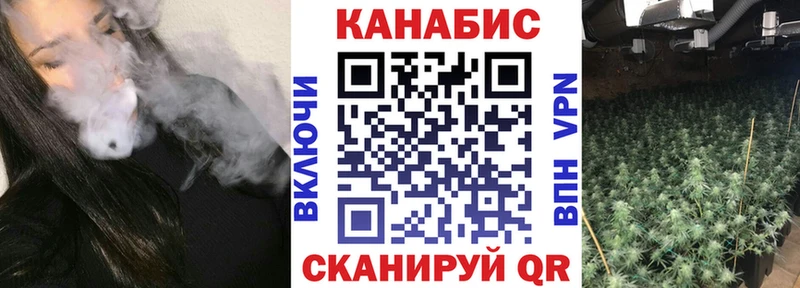 Бошки марихуана сатива  Гороховец 